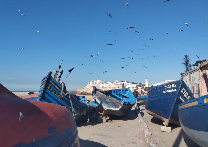 Puerto pesquero de Essaouira